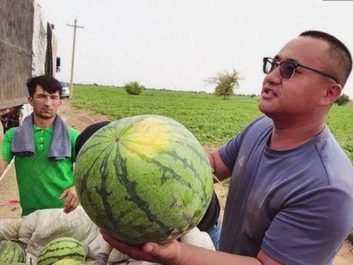 网红内幕大曝光：从崛起到争议的全程回顾