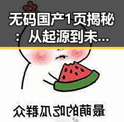 无码国产1页揭秘：从起源到未来的变革之路
