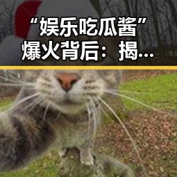 “娱乐吃瓜酱”爆火背后：揭秘神秘网红的崛起与内幕