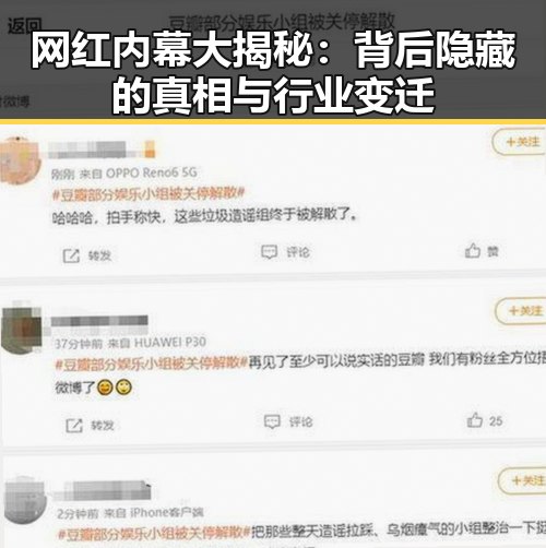 网红内幕大揭秘：背后隐藏的真相与行业变迁