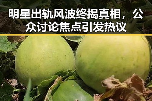 明星出轨风波终揭真相，公众讨论焦点引发热议
